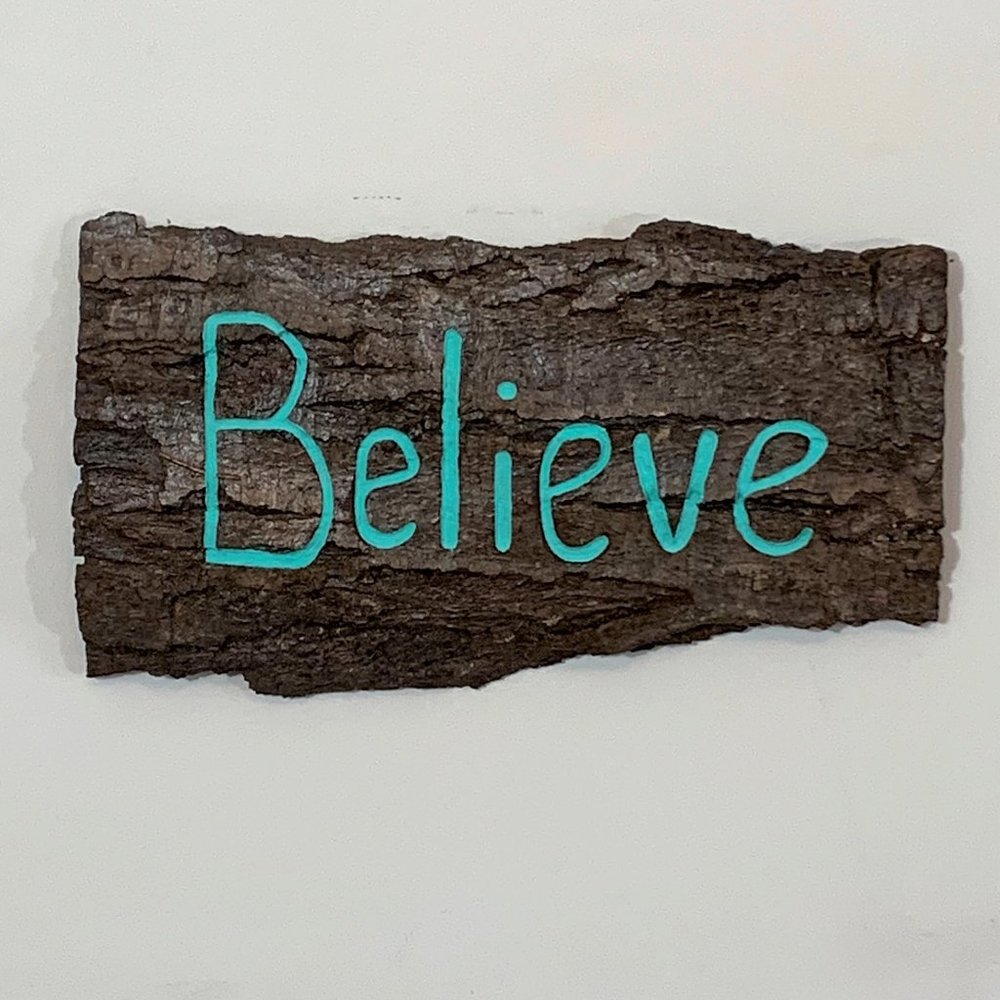 Believe Sign, Tree Bark Carving, Turquoise Home Decor, Wall Sign, Sustainable